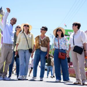 Small group walking tour with a local guide for guided city tours